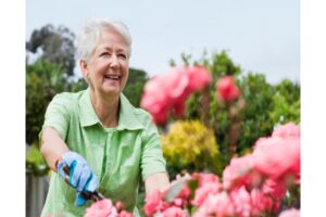 lifelong learning: woman gardening